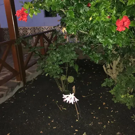 Alojamiento Vacacional Maruca Erese